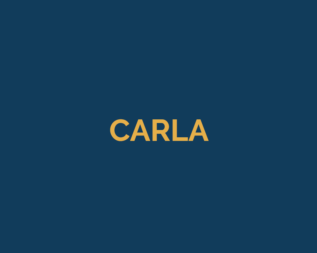 <b>CARLA</b>